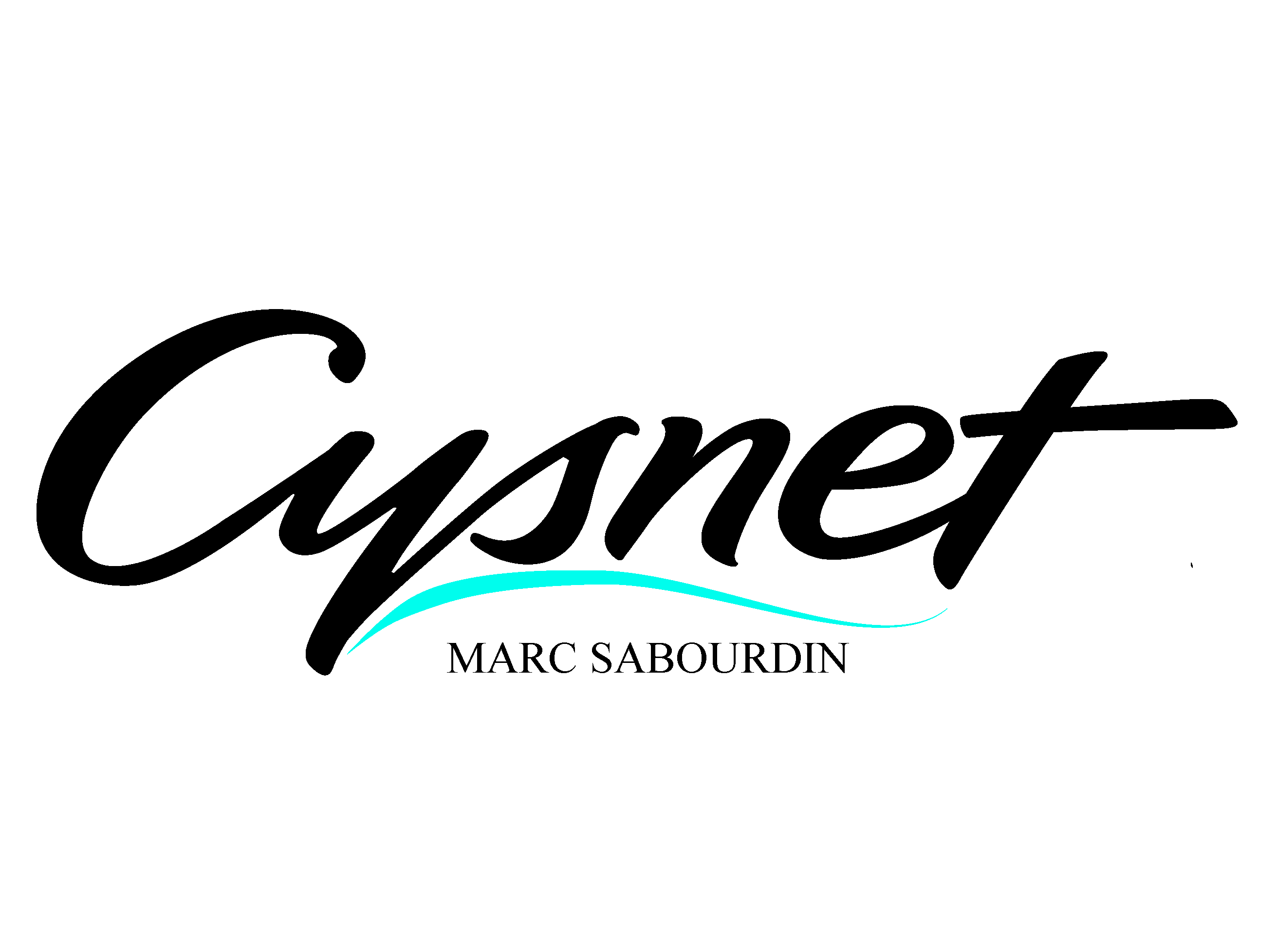 Cysnet
